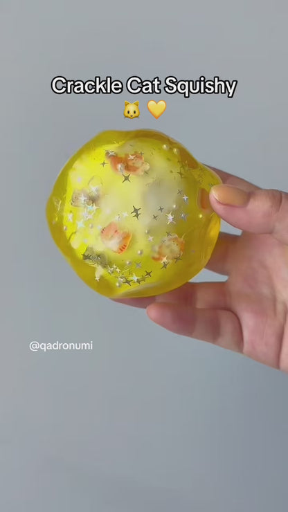 Little Cat Crackle Squishy