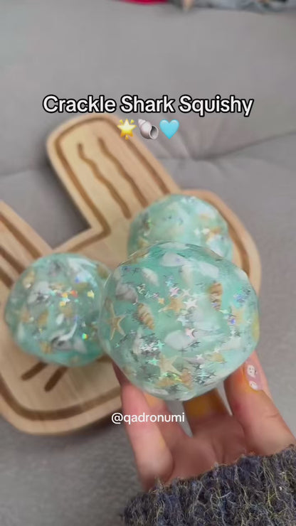 Crackle Ocean Seashell Squishy